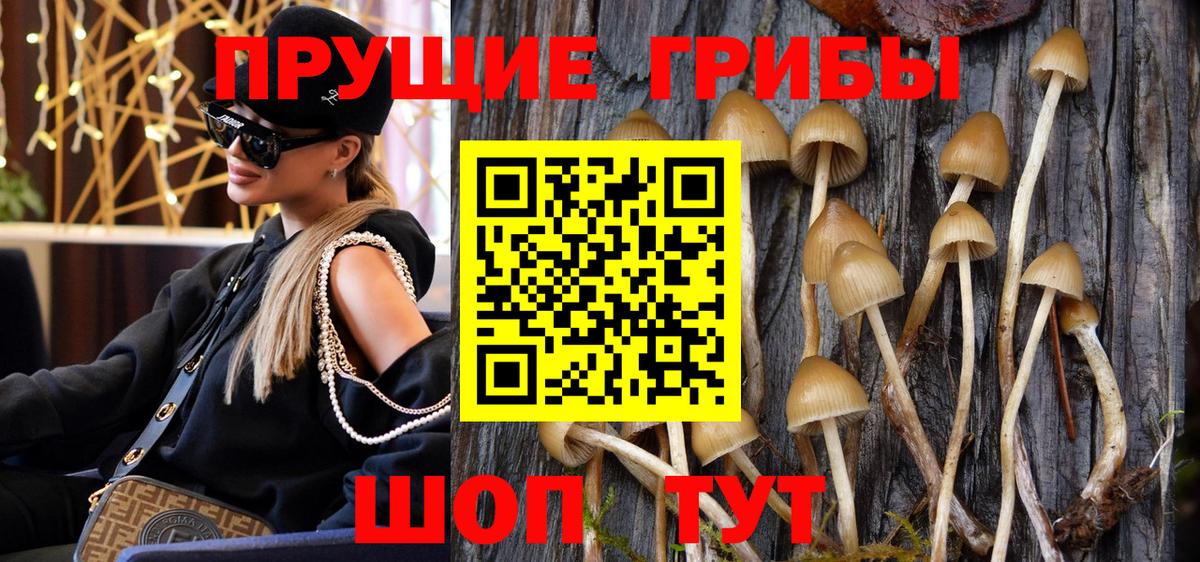 цена наркотик  Вход с VPN  Улан-Удэ  Псилоцибиновые грибы MAGIC MUSHROOMS 